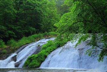 夏の釜淵の滝