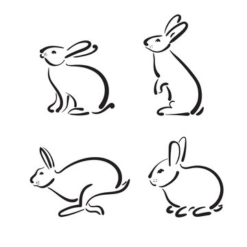 Vector group of hand drawn rabbit on white background.
