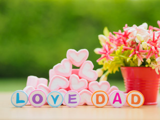 Father's day concept.  LOVE DAD alphabet with marshmallow in the shape of heart and flower on background