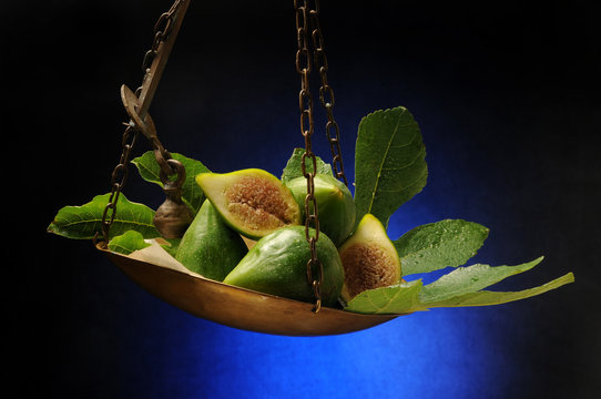 Ficus carica &Sigma;&upsilon;&kappa;&iota;ά Echte Թուզ Feige Fichi 무화과나무 अंजीर Obična انجیر smokva תאנה Vijgenboom Figowiec Fiku pospolity Common fig Инжир Figos Vả t&acirc;y 無花果 İncir تين شائع