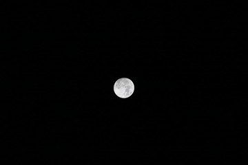 Moon