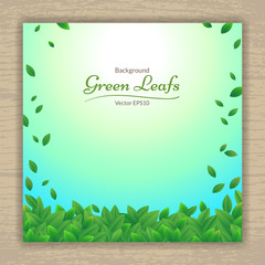 Vector nature background banner with green leaf frame