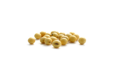 soy beans on white background.