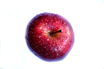Fresh red apple  on white background