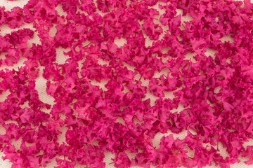 Pink crape myrtle petals background