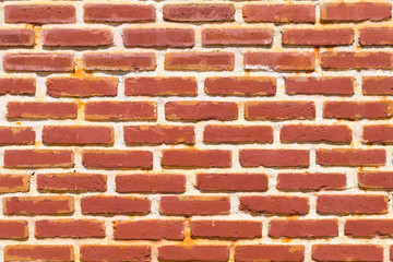 Brick wall 