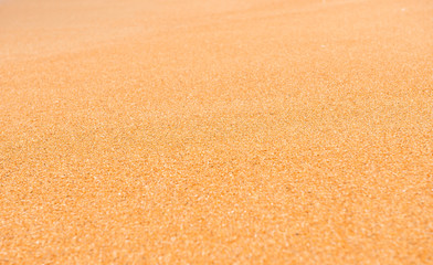 Fototapeta na wymiar Background of sand on the coast