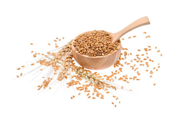 Wheat grain isolated on white background