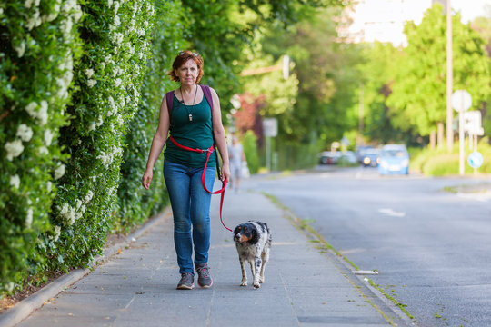 mature woman with Brittany dog on a sidewalk