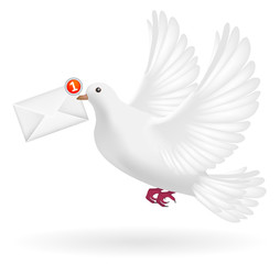 white pigeon flying with envelope mail message