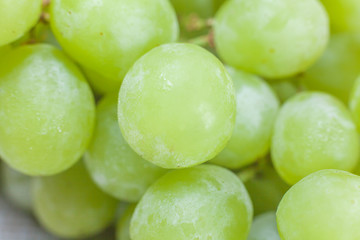 close up of Green grape