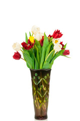 Photo of tulips isolated on white background
