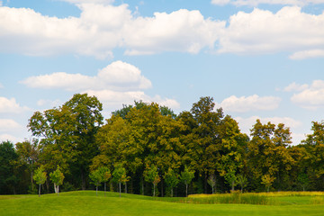 Summer or spring landscape with green hills or mountains and trees
