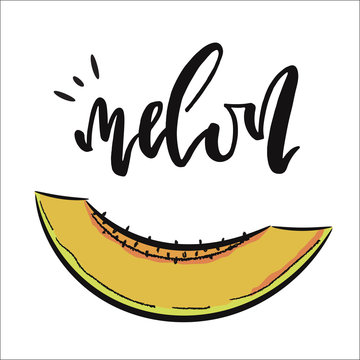 Vector hand drawn illustration.  Lettering Melon. Icon Melon. The idea for a cafe, restaurant, kitchen, poster, t-shirt.