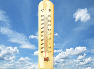 The thermometer