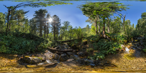 Obraz premium Spherical panorama 360 180 creek in a dense green forest