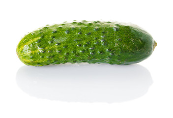 Fresh cucumbers close-up