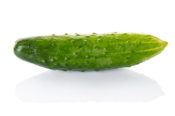 Fresh cucumbers close-up