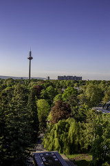 Fototapeta na wymiar Blick über den Palmengarten und den Fernsehturm in Frankfurt am Main