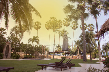 Fototapeta na wymiar coconut near sea and blue sky with sunlight color effect