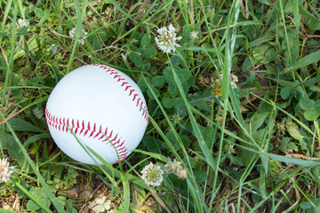 野球のボール