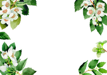 Wedding invitation DiY template Chubushnik handmade watercolor illustration.