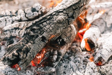 Fire. A bright flame. A breeze on the nature. Forest fires. Texture of smoking coals.
