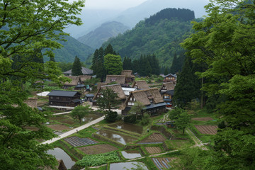 新緑の五箇山 © ginR