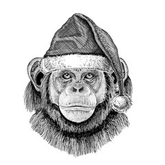 Chimpanzee Monkey wearing christmas hat New year eve Merry christmas and happy new year Zoo life Holidays celebration Hand drawn image