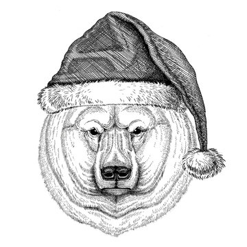 Polar bear wearing christmas hat New year eve Merry christmas and happy new year Zoo life Holidays celebration Hand drawn image