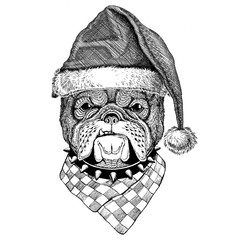 Bulldog wearing christmas hat New year eve Merry christmas and happy new year Zoo life Holidays celebration Santa Claus hat
