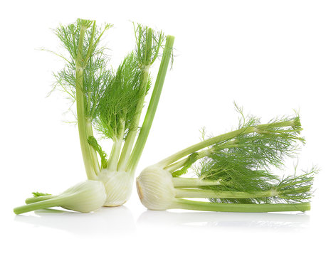 Fennel isolated on white background.