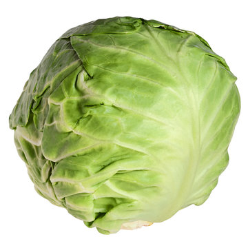 Cabbage head isolated on white background