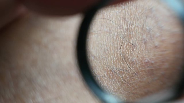 Close up of Human Skin Texture 
