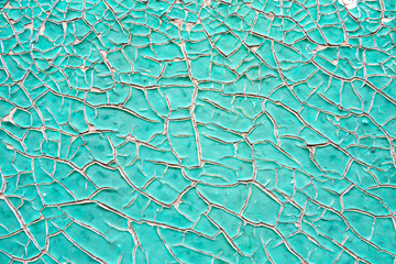 Old green paint texture closeup