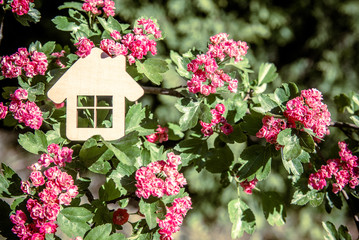 The symbol of the house among the blooming Crataegus Pauls Scarlet