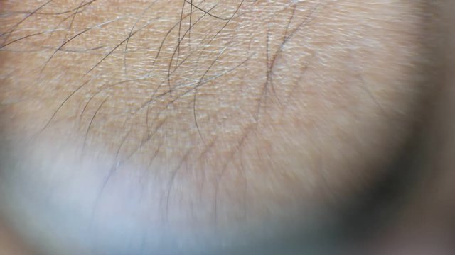 Close up of Human Skin Texture 
