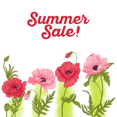 Summer sale card with red and pink poppy on green watercolor bac
