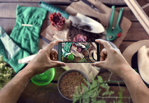 taking photograph of gardening products with your smartphone