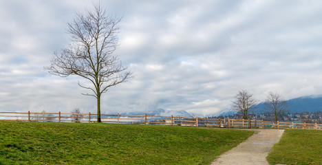 Public Park during winter, Vancouver Jan 2107