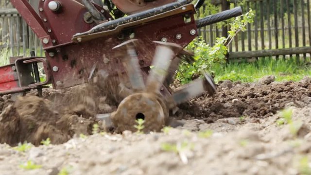 Plowing the soil with a motoblock