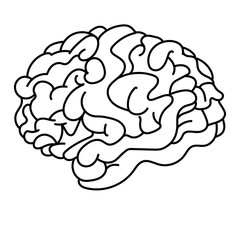 Brain line art, vector