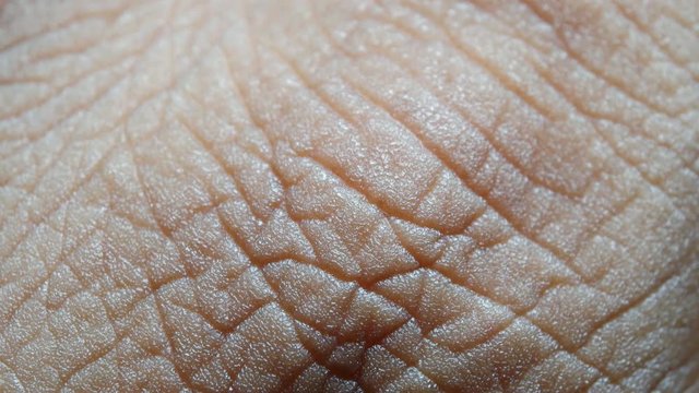 Close up of Human Skin Texture 
