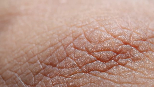 Close up of Human Skin Texture 
