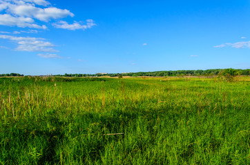 Obraz premium Wide green meadow