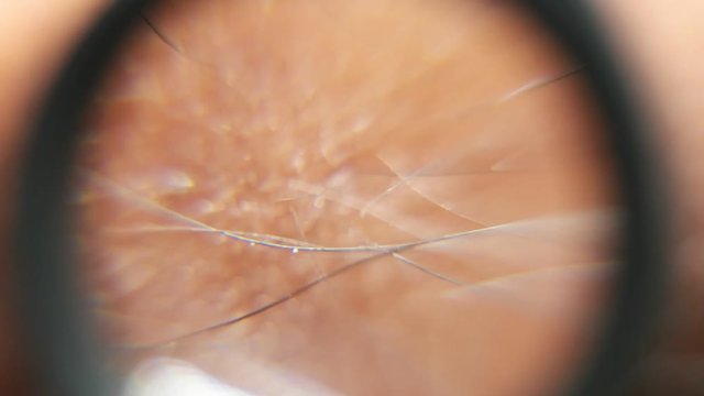 Close up of Human Skin Texture 
