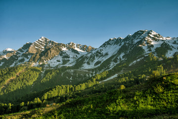Naklejka premium Snowy mountains against the background of green trees. Rosa Khutor, Adler