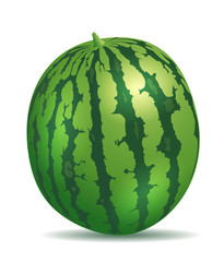 3D watermelon, summer and freshness concept