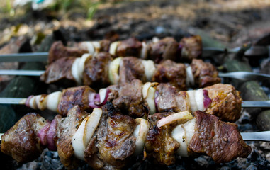 Barbecue of pork with onions close-up