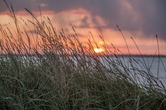 wuivend helmgras bij zonsondergang